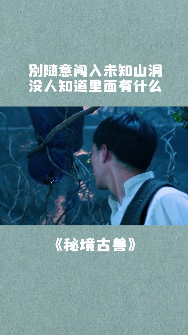 创作猫
